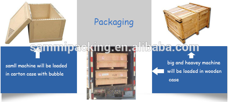 Automatic Quantitative Packing Machine